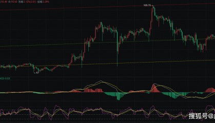 币圈院士：莱特币行情深度解析，如何布局及应对市场变化？