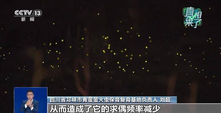 网传萤火虫濒临灭绝，是真的吗？