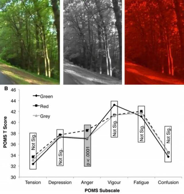 年代剧的墙，为什么都是上白下绿？